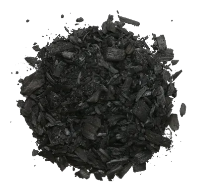 Biochar TERROLYVE en morceaux