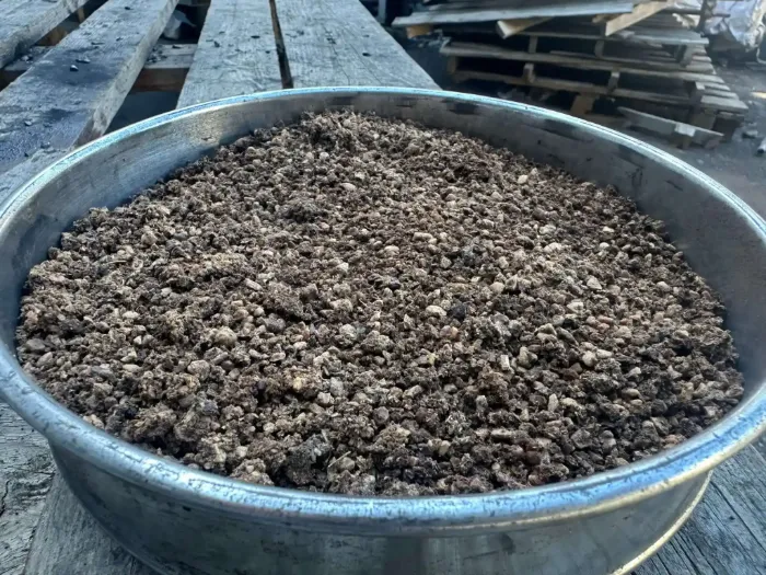 Grignons d'olive, matière première du charbon actif BIOX CARBON